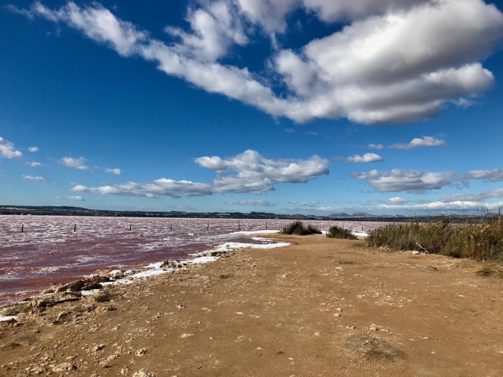 Las Salinas de Torrevieja, is home to two salt lakes, the Laguna de la Mata and Blue/green lake and Laguna rosa, the pink lake in Spain. 