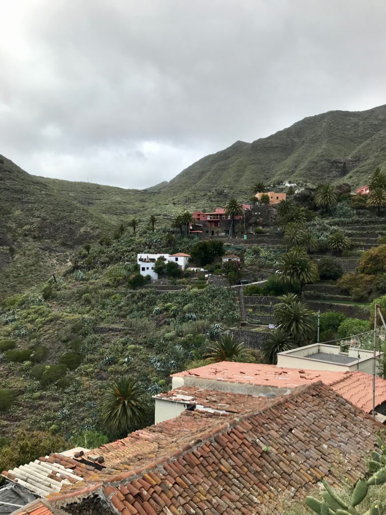 Terrace farming is a large part of Tenerife's economy. These fincas de terraza are really cool to see, and they grow almost all of their produce this way!