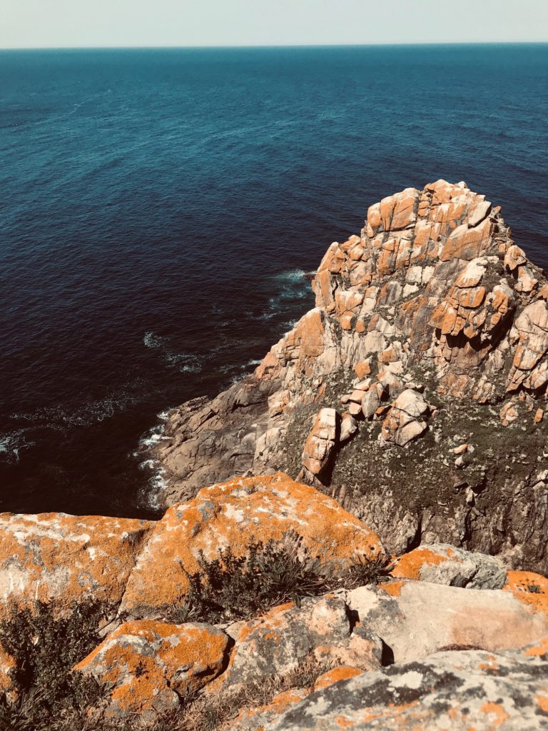 The cliffs of the cies Islands have a strange orange moss that I have never seen before