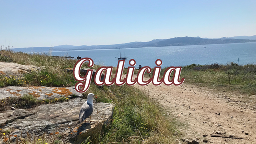 Explore the region of Galicia located in North Western Spain. It is home of some of the most stunning beaches in Spain. 