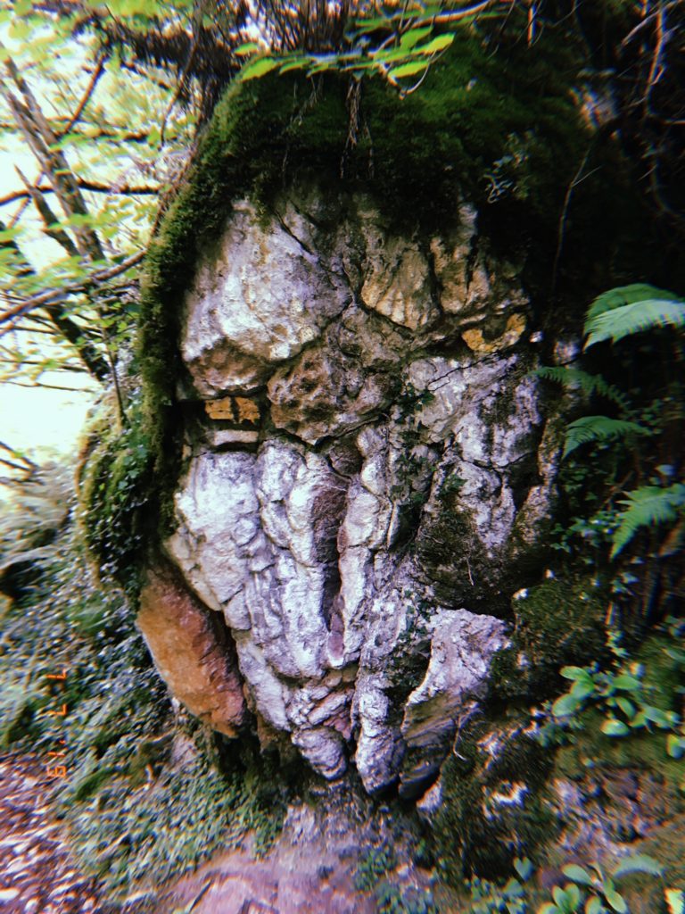 Human made creatures are hidden in nature on the Beyu Pen Trail in Asturias. 