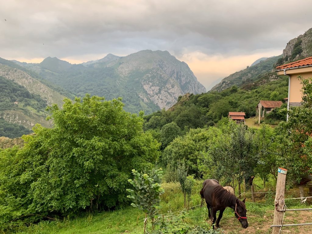 Stunning Asturian Countryside, from an Airbnb in a small remote village near Covadonga Asturias. 