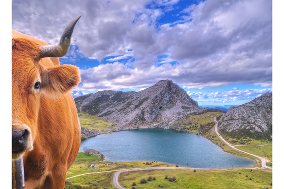 Canva stock photo used of the lakes of covadonga. 