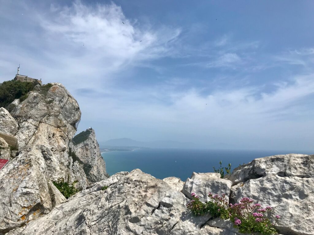 Admire the white rocky cliffs that overlook the straights of Gibraltar at the top of the rock, while on your day trip. 