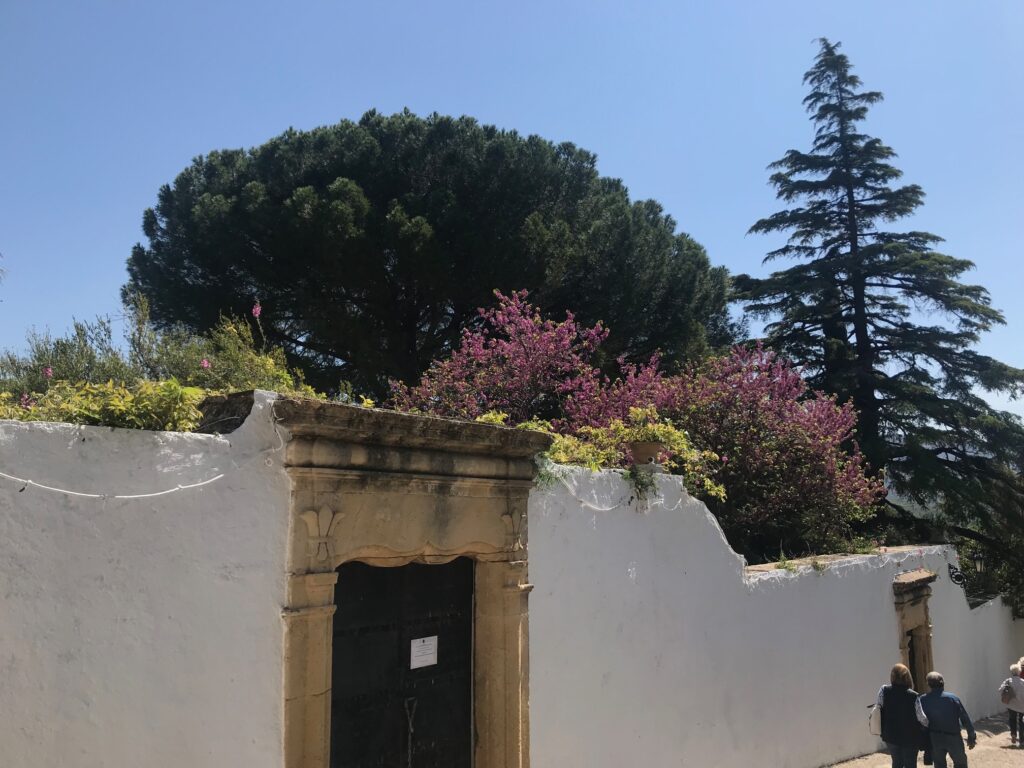Cute white walls and perfect purple flowers can be found all throughout Ronda Spain.