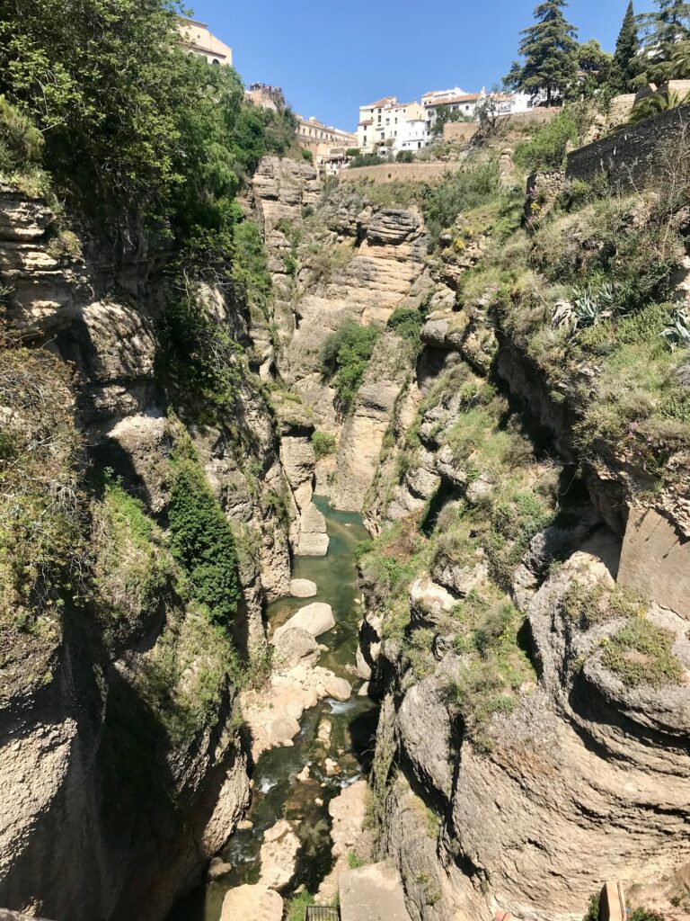 Lush green vegitation hangs from the cliffs of the canyon of Tajo in Ronda, Spain