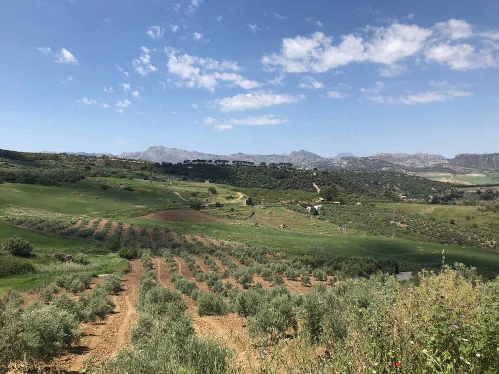 The beautiful lush farmland and mountains surrounding Ronda, Spain