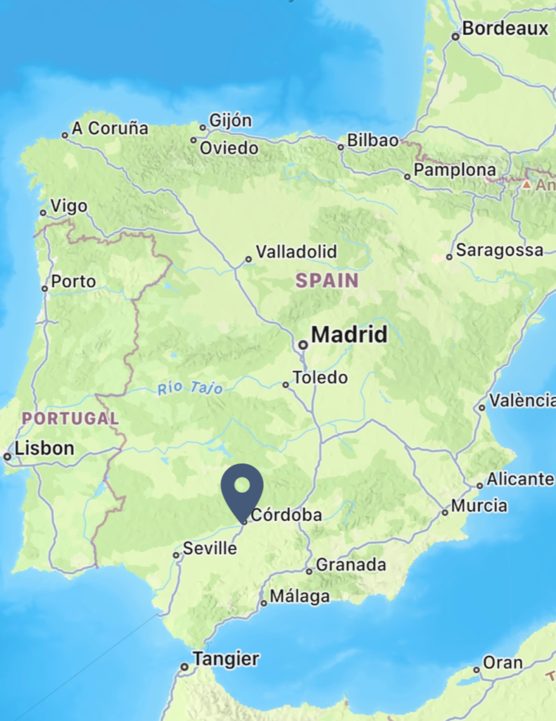 Córdoba is located in the souhtern part of Spain, in the comunidad de Andalucía.  