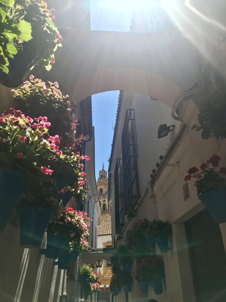 Córdoba is a city covered in flowers and colorful blooms. 