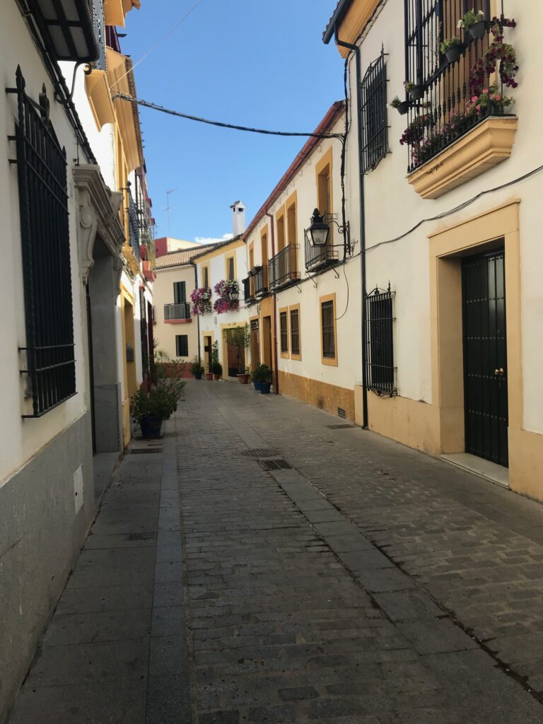 The picturesque old streets of the city. 