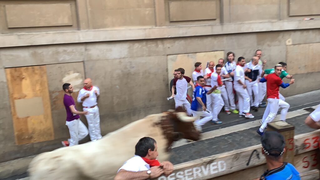 A bull races through the streets of Pamplona during the famous Fiesta de San Fermín.