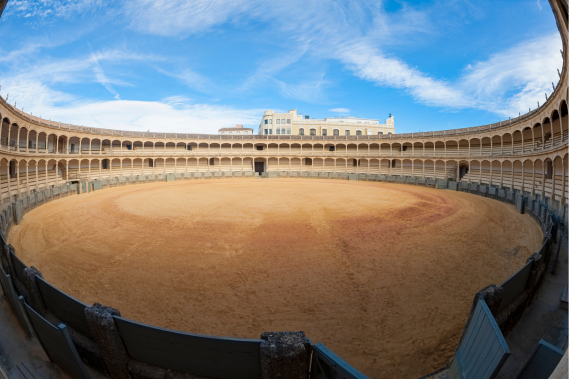 The Plaza del toros in Ronda, Spain is recognized as the oldest and largest bull-fighting ring in Spain. 